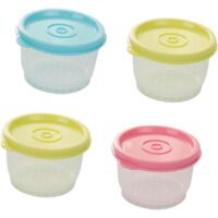 Lot de 4 contenants repas hermétiques. Idéal meal prep, rangement pratique. Couleurs variées.