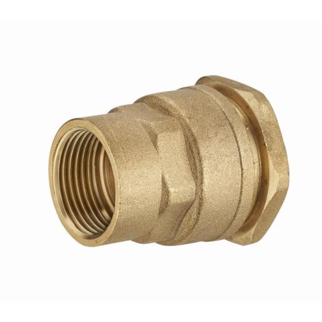 Gerader Polyethylen-Verbindung Female Messing ø20 - F 1/2 Stück 1 Stück