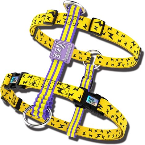 AGE Harnais pour chien Poitrine ajustable Joli motif d'éclairs Matériau doux et durable Ajustement confortable (1/4)