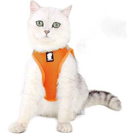 AGE Porte-chat Porte-chaton réglable Porte-chat et laisse Set Pet Cat Imperméable Réfléchissant Respirant Doux Maille Orange Taille L (1/4)