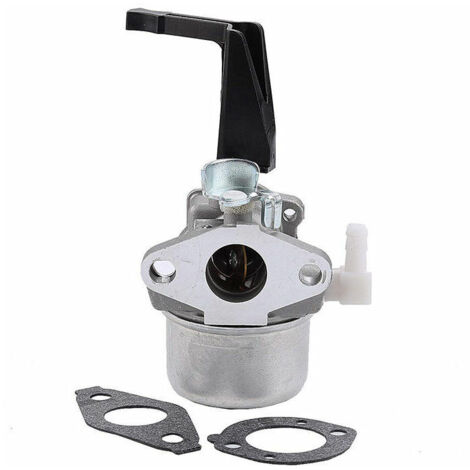 Briggs & Stratton 696065 Carburateur avec joint de montage (1/5)