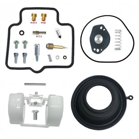 BARKBUSTERS Compatible avec SUZUKI OZARK 250 LT-F250 (2002-2003-2014, 2015, 2016, 2017, 2018)
