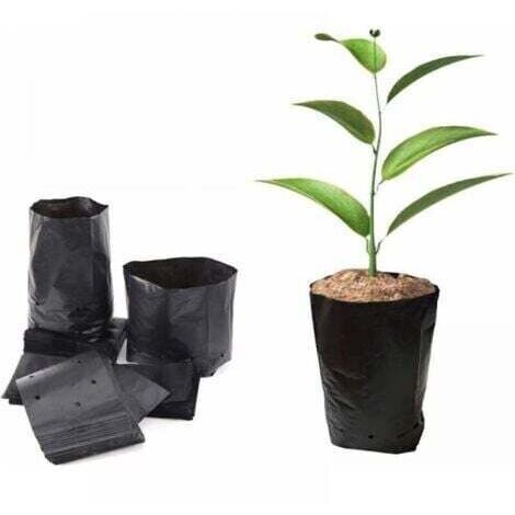 100 sacs de pépinière en plastique épais - 15x25cm (diamètre x hauteur) Sacs de culture pour plantes de jardin avec trous d'aération (1/5)