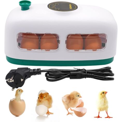 Couveuse Oeuf 8 Oeufs Incubateur Oeuf De Poule, Incubateur Oeuf Pour Poulets Canards Cailles, Couveuse En Forme De Train Avec Éclairage Led Pour La Visualisation Des Œufs (1/5)