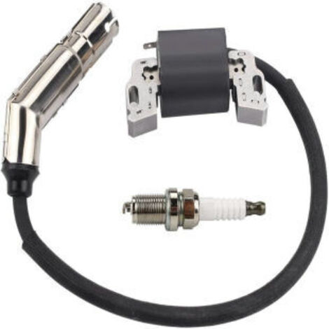 S-giant Bobine d\'allumage haute tension compatible avec 715231, 595304, 795315, 592841, avec bougie