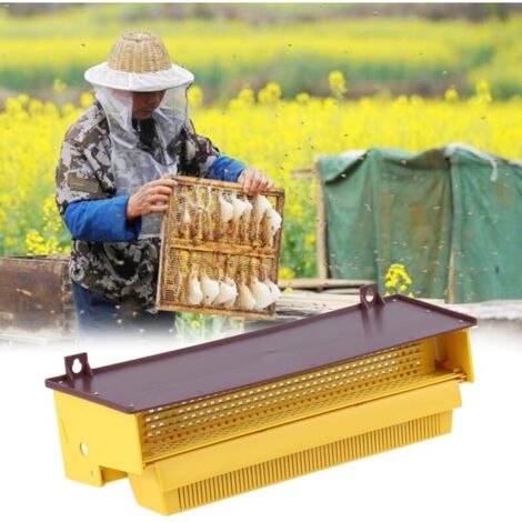 Piège à pollen amovible en plastique jaune avec plateau à pollen ventilé Outil d'apiculture (1/5)