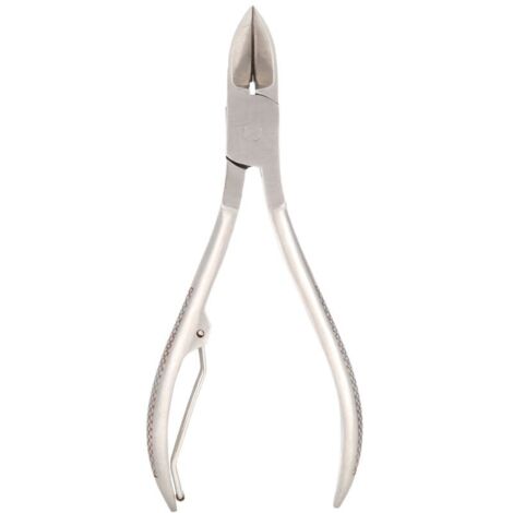 Jeffergarden Ciseaux en acier inoxydable pour coupe de dents de chien et porcelet, pince de récupération (12 cm) (1/5)