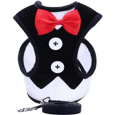 Jeffergarden Harnais Chien avec Nœud Papillon et Laisse – Confort, Respirabilité pour Promenade Quotidienne – Ensemble Complet (Taille M, Noir) (1/5)