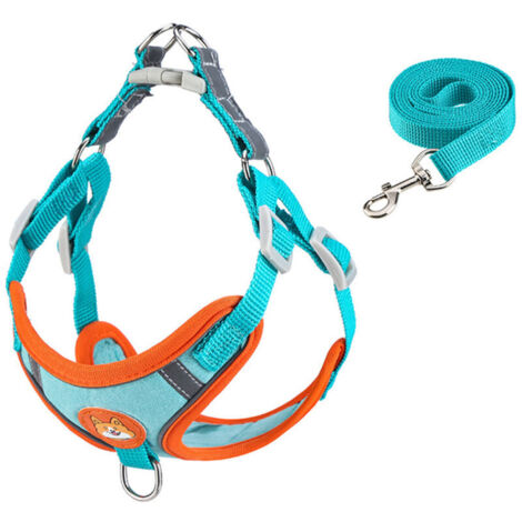 Jeffergarden Harnais Chien Confort Randonnée – Veste Ajustable Réfléchissante, Ensemble avec Laisse (Taille L, Bleu Lac) – Voyage et Promenade (1/5)