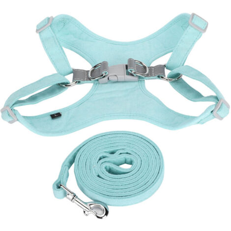 Jeffergarden Kit harnais et laisse pour petit chien - Sans étranglement, réfléchissant, ajustable et confortable - Taille XXS - Vert menthe (1/5)