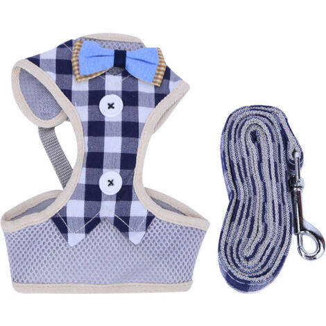 Jeffergarden Collier mignon et ajustable pour chien et chat - Avec grelot - Pour la plupart des animaux de compagnie - Taille XL - Bleu (1/5)