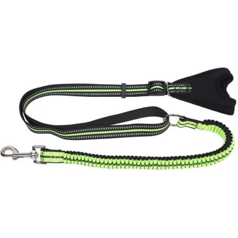 Jeffergarden Laisse de sécurité réfléchissante pour chien - Sangle en nylon pour promenade et éducation - Anti-perte - Taille M - Vert (1/5)