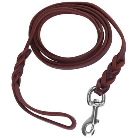 Jeffergarden Laisse en cuir pour chien - 1,6m - Idéale pour la marche et la course, sécurité optimale (1/5)