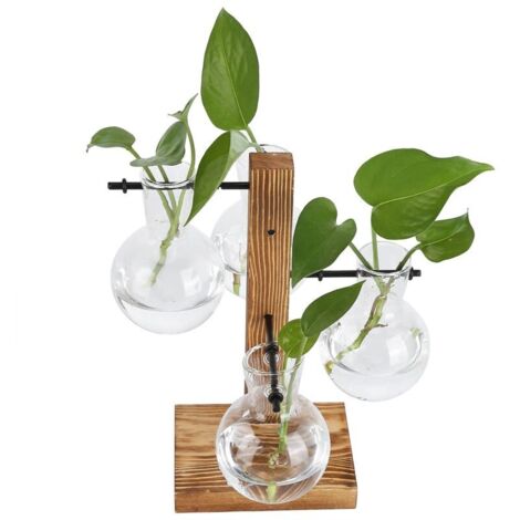 Jeffergarden Vase hydroponique innovant avec support en bois, fleur de bureau transparente pour la maison (1/5)