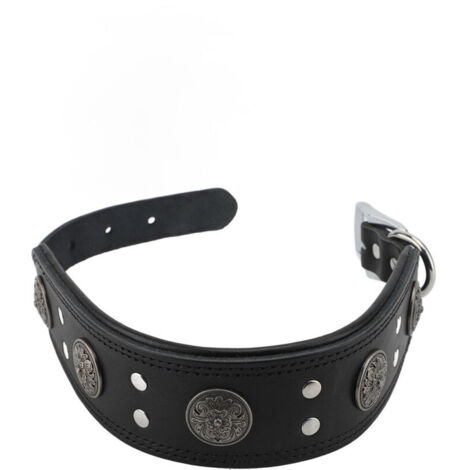 Jeffergarden ‌Collier chien cuir de vachette - Noir taille L, réglable, décorations métalliques - Style rétro‌ (1/2)