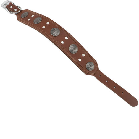 Jeffergarden ‌Collier pour chien en cuir de vachette rétro - Décorations alliage métallique, réglable brun XL‌ (1/2)