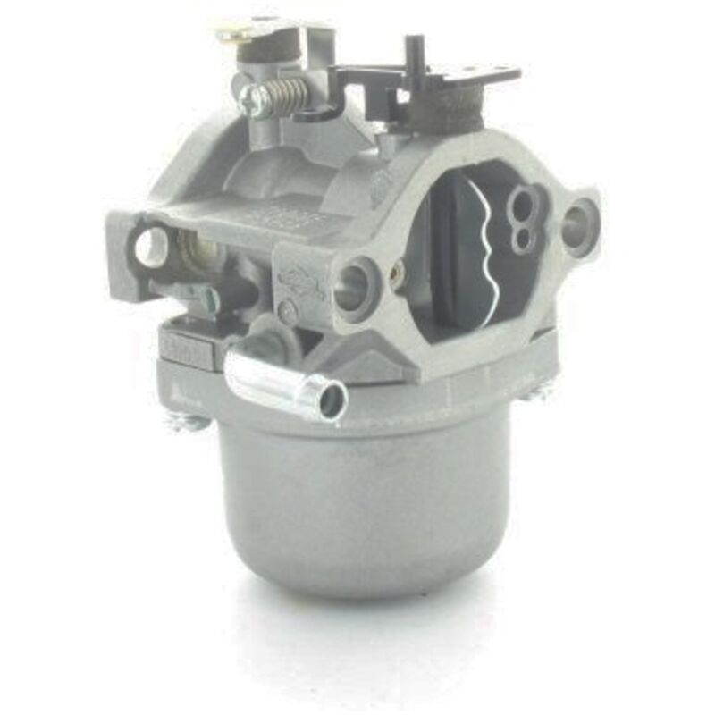 CARBURATEUR POUR GÉNÉRATEUR de moteur Ruixing 127 tondeuse à gazon laveuse à EUR 31,22 - FR