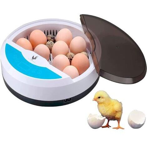 Incubateur automatique pour 9 œufs avec contrôle de température - Convient aux volailles, cailles, oies, pigeons et reptiles - Usage domestique, cadeau pour enfants
