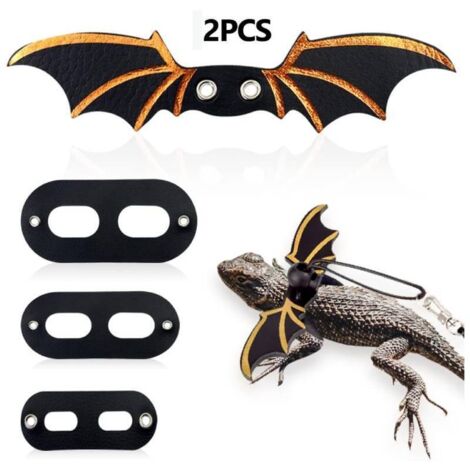 Lot de 2 laisses réglables pour lézard, harnais pour dragon barbu ailé, laisse souple pour reptiles, geckos léopards, amphibiens et autres petits animaux (noir) (1/5)