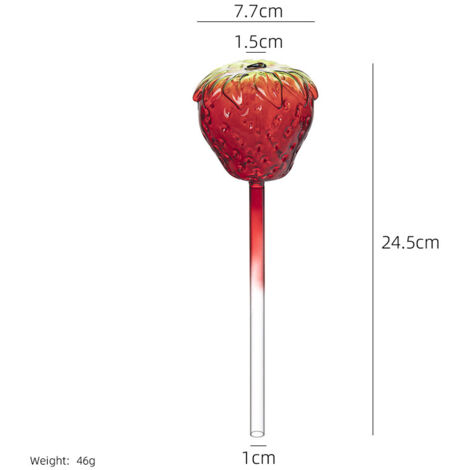 Deux bulbes en verre à arrosage automatique, adaptés aux plantes d'intérieur et d'extérieur – bulbes à arrosage automatique (fraises). (1/5)
