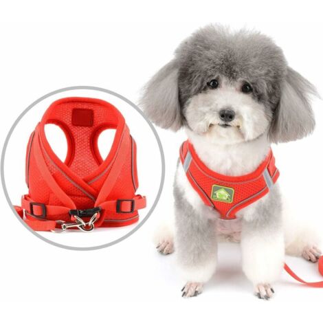 Green Mobility-Harnais pour chien et laisse pour petits chiens chiots Harnais de poitrine réfléchissant réglable en maille douce Harnais de chat anti-évasion pour chiot Chihuahua filles et garçons Rou (1/5)