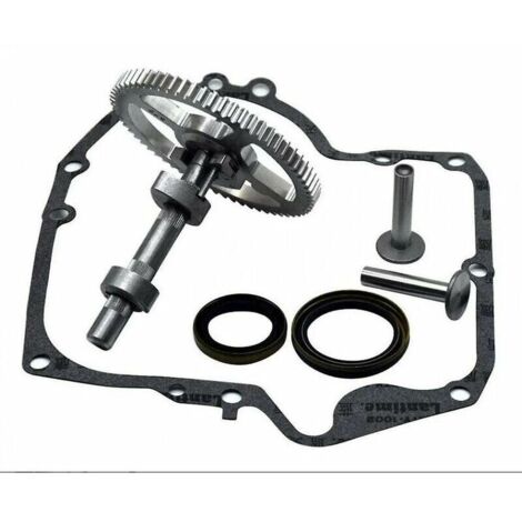 Green Mobility-Arbre à cames Briggs & Stratton 793880 793583 792681 791942 795102 Kit de remplacement de came avec joint d'huile 795387 et joints de carter Ruikalucky 697110 (1/4)