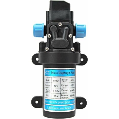 Green Mobility-Pompe à Eau Portable de Transfert, Pompe à Eau électrique à Haute Pression Micro-diaphragme électrique DC 12V 80W (1/5)