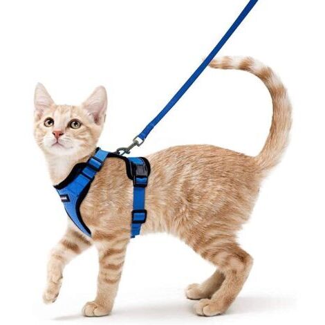 Green Mobility-Harnais pour chat réglable avec laisse – Bandes réfléchissantes pour visibilité nocturne – Taille S pour chats et petits chiens – Facile à enfiler (1/5)