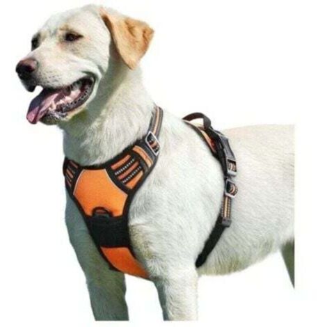 Green Mobility-Harnais pour chien orange, taille L, harnais anti-traction réfléchissant réglable, facile à porter, avec poignée de contrôle, respirant et durable, harnais pour chien de taille moyenne. (1/4)
