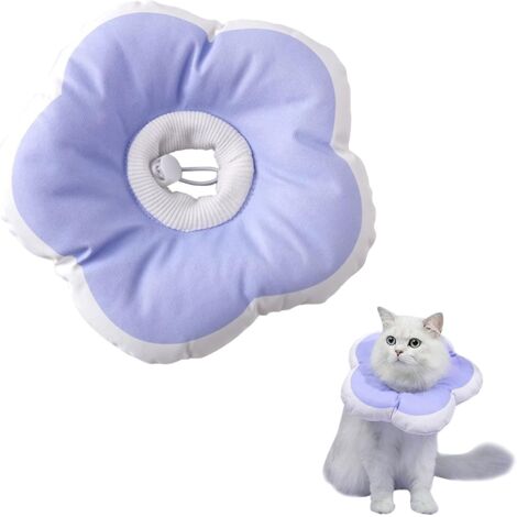 Collerette Souple pour Chaton,Rembourré Collerette pour Chaton avec ...