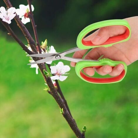 Sécateur Jardinage, Japonais Bonsai Outils De Jardin, Branche D'arbres Fruitiers Coupe Ciseaux Outils De Jardin Raisin Élagage Cisailles
