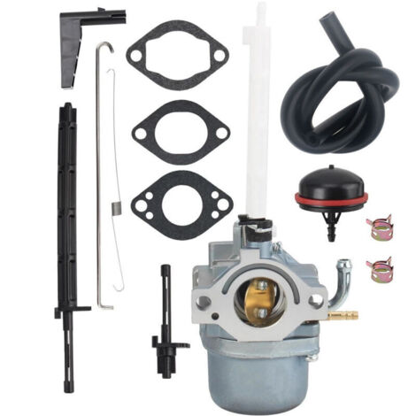 Carburateur de Rechange pour Souffleuse à Neige Briggs & Stratton - Compatible avec la Référence NIKI 793784 et le Modèle Snowblower 796122 (1/4)