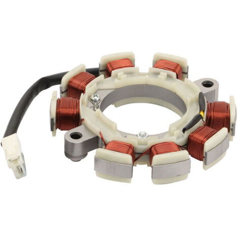 Convient au moteur GX160-6, diamètre d'arbre de 19,05 mm, bobine de stator de magnéto universelle pour groupe électrogène/pompe à eau/pièces de machines agricoles, assemblage de bobine de stator de qu (1/5)