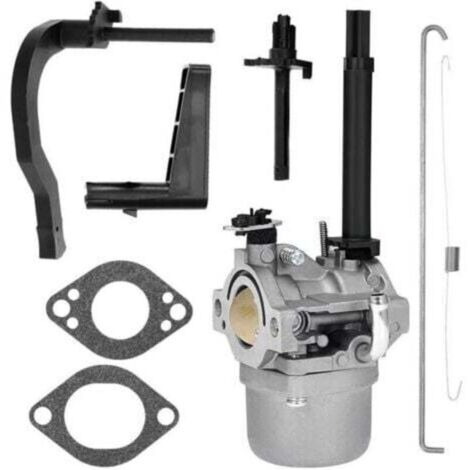 Carburateur adapté aux modèles 591378, 699966, 699958, 796321 et 696132 de souffleuse à neige P25 (1/4)