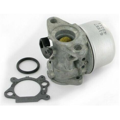 Carburateur adaptable pour remplace 799868 (1/4)