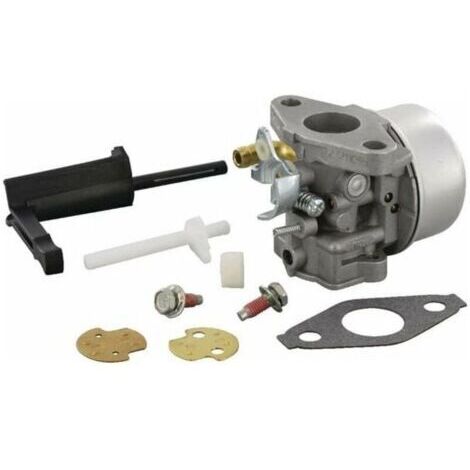 Carburateur pour 798653 (1/4)