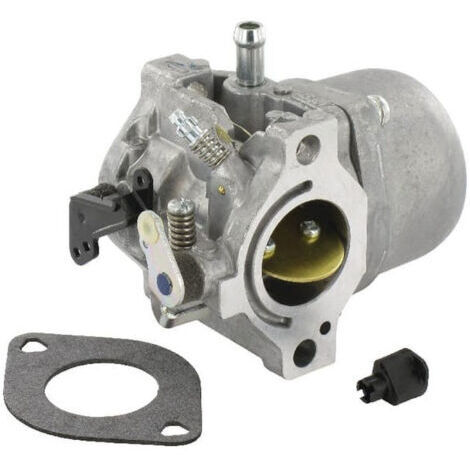 Carburateur 799728 (1/4)