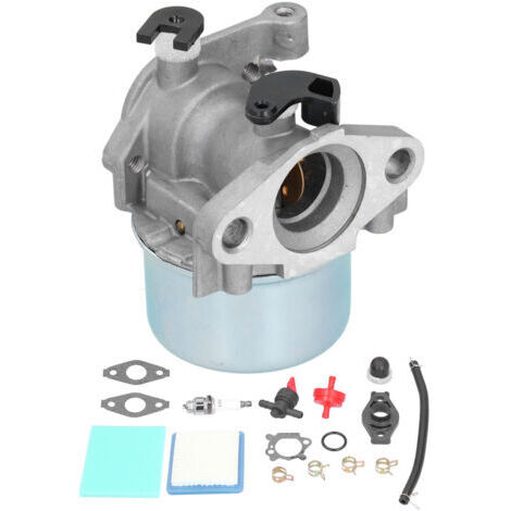 Carburateur pour Tondeuse Briggs Stratton 799866 790845 799871 796707 794304 Toro Craftsman avec Filtre à Air Ensemble - (1/5)