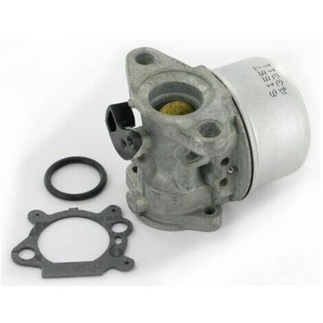 Carburateur 498170 - 799868 (1/4)