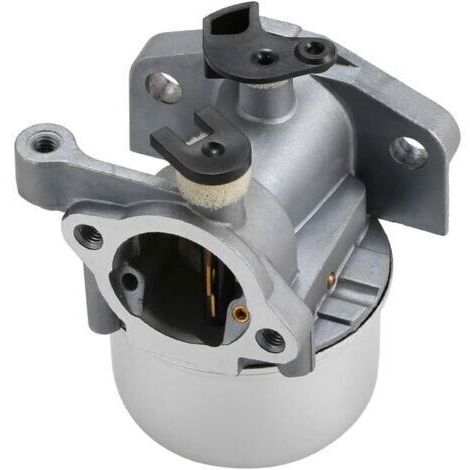 Carburateur carburateur pour Briggs & Stratton 799871 790845 799866 796707 794304 (1/5)