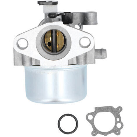 Carburateur Compatible avec Tondeuses 799866 790845 799871 796707 794304 pour Moteurs Briggs Stratton - (1/5)