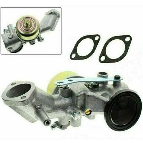 Carburateur pour moteurs 491026/281707/491031 12cv (1/4)
