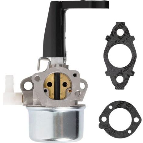 Carburateur BlueStars 696065 697422 avec kit de joints de montage - Compatible avec les moteurs de motoculteur 110402 110412 215369 5HP 5.5HP 6HP Rototiller Troy Generator Intek Motor Water Pum (1/5)