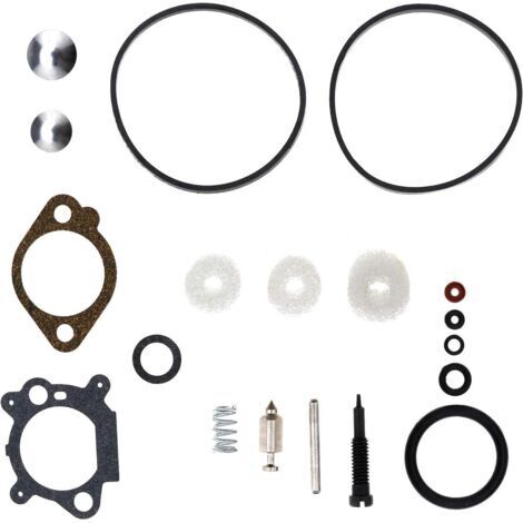 Assortiment de Joints Carburateur Kit de Réparation Reconstruction Moteur pour Briggs Stratton Quantum Max 398183/498261/490937 (1/4)