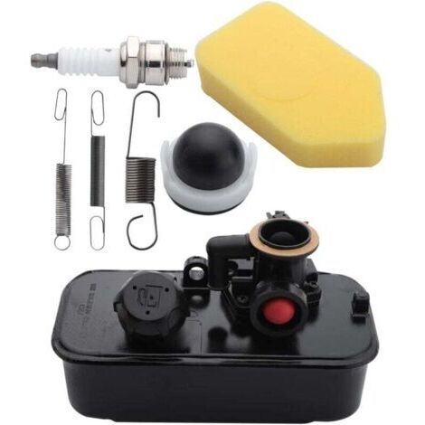 Carburateur et Réservoir pour Briggs and Stratton avec bougies, ressorts, filtre à air, poire d'amorçage 795469 794147 498809 795477 494406 (1/4)