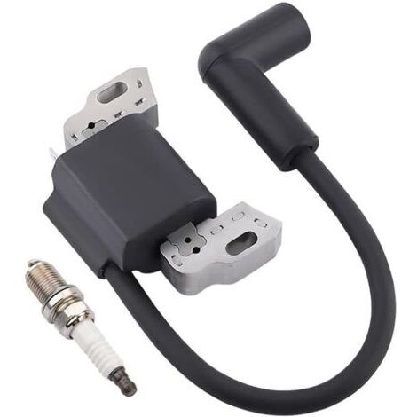 Bobine d'allumage Compatible avec 799582 798534 593872 595009 Remplace Moteur Série 08P502 09P602 09P702 avec Bougie d'allumage