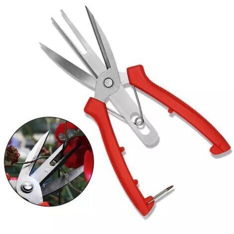 Ciseaux forgés en acier inoxydable pour pommier et poire, outils agricoles à Double bouche, taille-fruits pour éclaircir les fleurs (1/4)