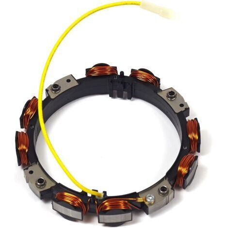 Briggs and Stratton tcn330120 Rechange, Multicolore (1/5)