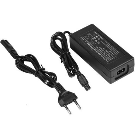 Adaptateur secteur Chargeur de batterie au lithium sécurisé pour scooter d'équilibre électrique avec (1/5)