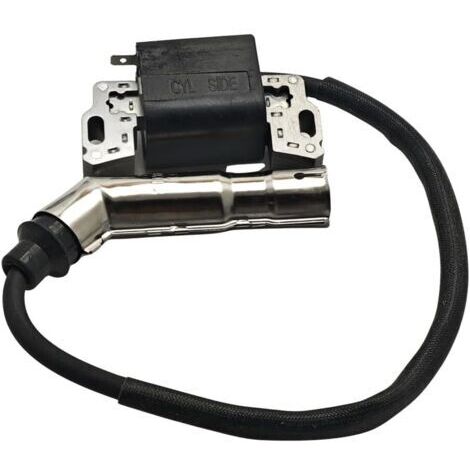 Bobine d'allumage magnétique pour 594626, 595038, 595304, 592841, 795315, 799650, 491312, 492341, 490586, 495859, 690248, 7152 1, 1, LGGGGG. 49234 1, LG495859 (1/5)